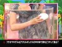 井上和香ちゃん 動物奇想天外02