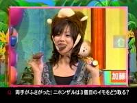 井上和香ちゃん 動物奇想天外03