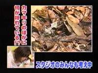 井上和香ちゃん 動物奇想天外06