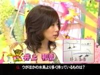 井上和香ちゃん 動物物奇想天外 01