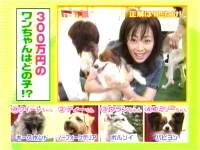 井上和香ちゃん 起きなさいよッ 04