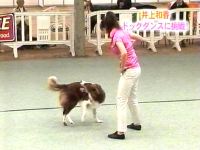 井上和香ちゃん ドッグダンス 03