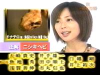 井上和香ちゃん 格闘王 03