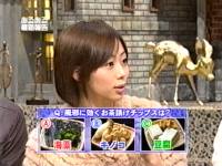井上和香ちゃん あるある大事典 02