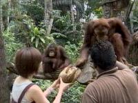 井上和香ちゃん 世界のスーパー動物園 03