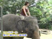 井上和香ちゃん 世界のスーパー動物園 06