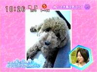 井上和香ちゃん ラジかるッ 05