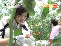 井上和香ちゃん たべごろマンマ 04