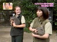 井上和香ちゃん 動物奇想天外 04