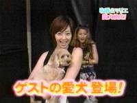井上和香ちゃん 世界まる見え!テレビ特捜部 01